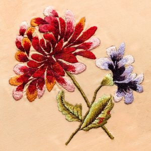 Embriodery Digitizing